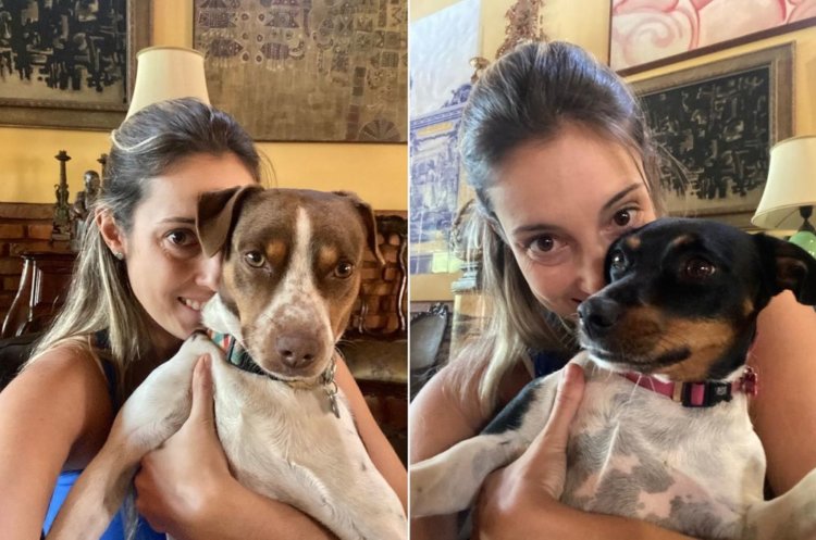 Carolina Botelho com os cães Dingo e Cacau - Foto Acervo Pessoal